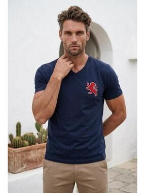 Vintage Y2K Navy Blue Express Men's Small Lion V-Neck T-Shirt sz Medium